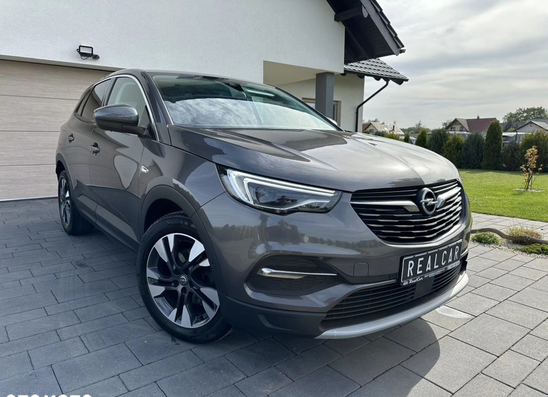 Opel Grandland X cena 65900 przebieg: 177345, rok produkcji 2019 z Nysa małe 781